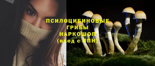 сатива Горно-Алтайск