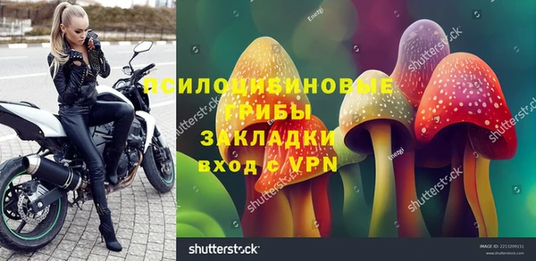 mix Горнозаводск
